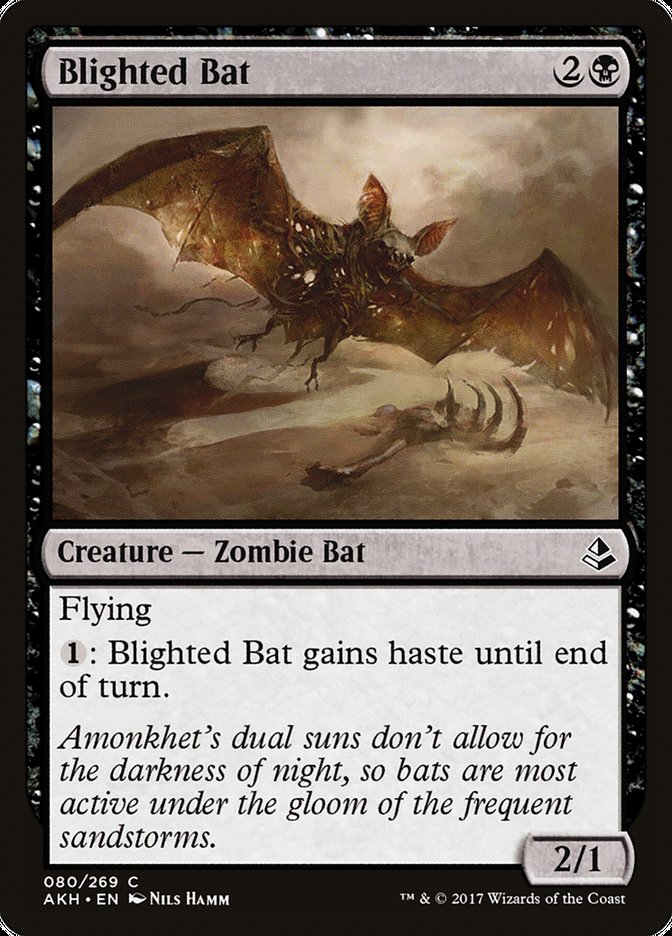 Blighted Bat [Amonkhet] | North Valley Games