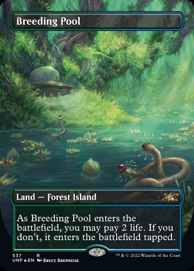 Breeding Pool (Borderless) (Galaxy Foil) [Unfinity] | North Valley Games
