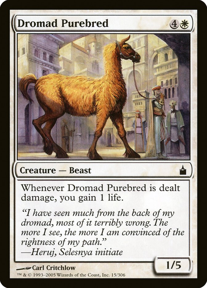 Dromad Purebred [Ravnica: City of Guilds] | North Valley Games