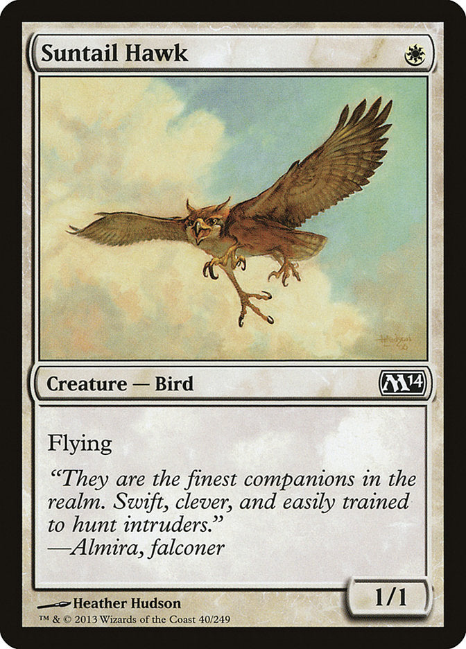 Suntail Hawk [Magic 2014] | North Valley Games