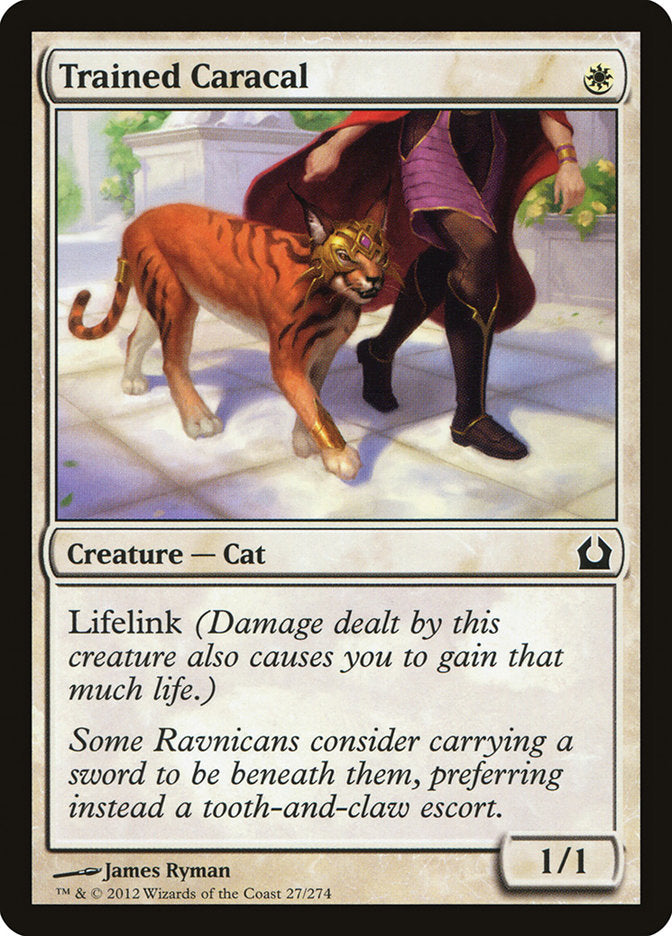 Trained Caracal [Return to Ravnica] | North Valley Games
