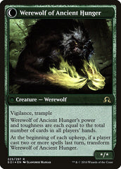 Sage of Ancient Lore // Werewolf of Ancient Hunger [Shadows over Innistrad Prerelease Promos] | North Valley Games
