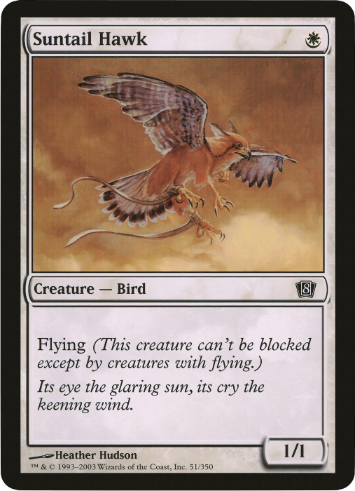 Suntail Hawk (Oversized) [Eighth Edition Box Topper] | North Valley Games