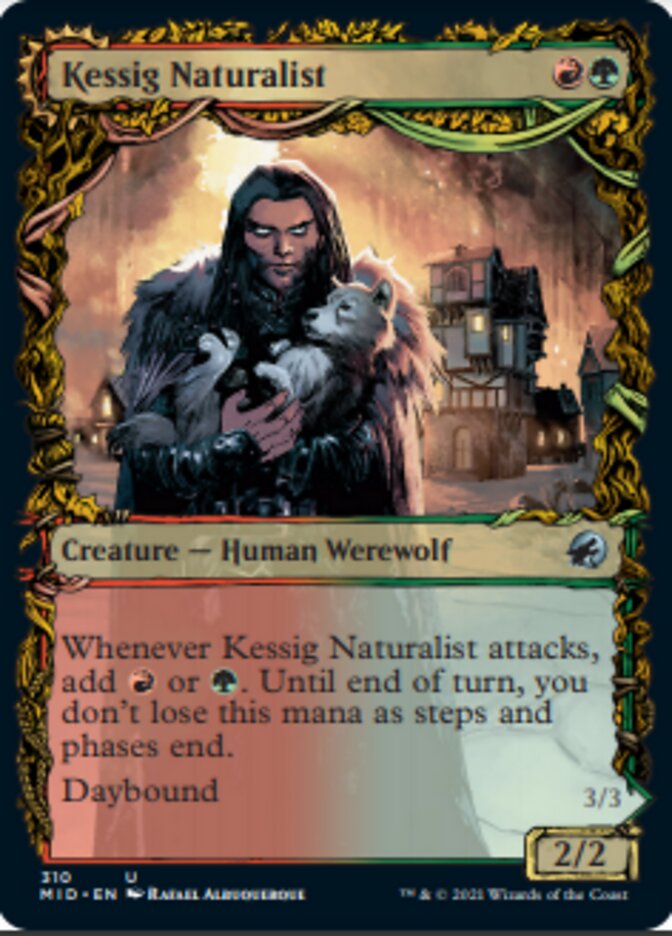 Kessig Naturalist // Lord of the Ulvenwald (Showcase Equinox) [Innistrad: Midnight Hunt] | North Valley Games