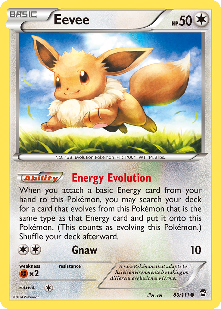 Eevee (80/111) [XY: Furious Fists] | North Valley Games