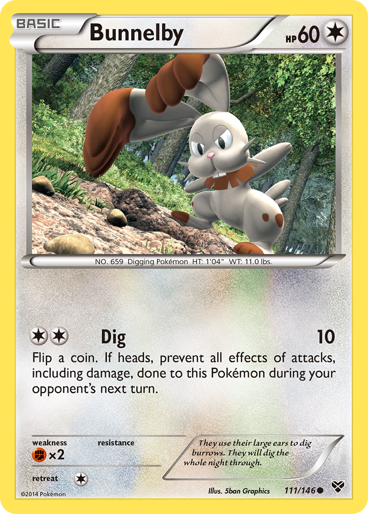 Bunnelby (111/146) [XY: Base Set] | North Valley Games