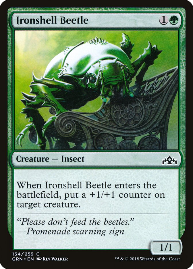 Ironshell Beetle [Guilds of Ravnica] | North Valley Games