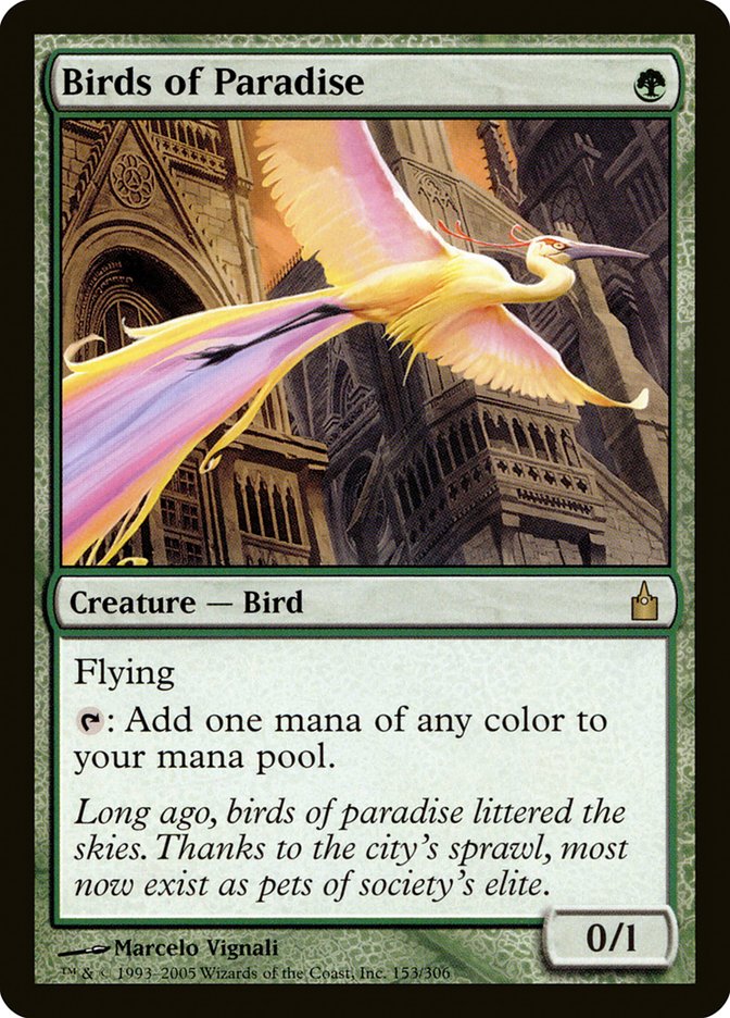 Birds of Paradise [Ravnica: City of Guilds] | North Valley Games