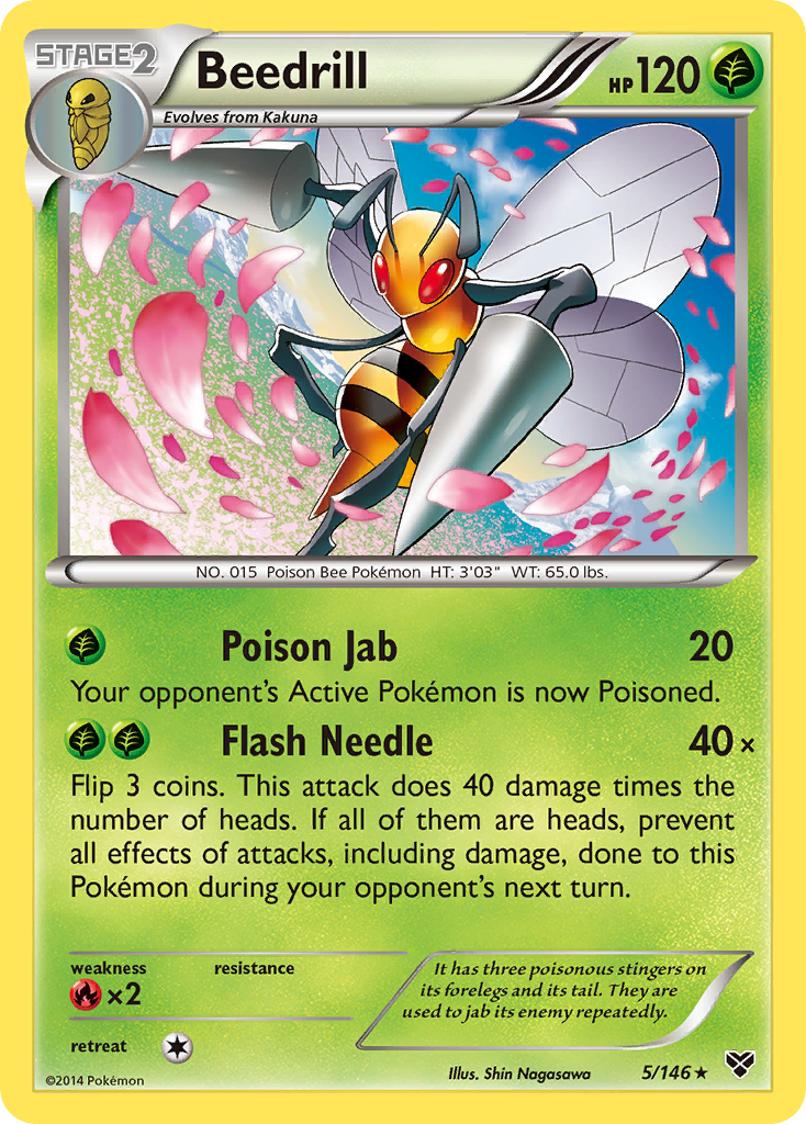Beedrill (5/146) [XY: Base Set] | North Valley Games