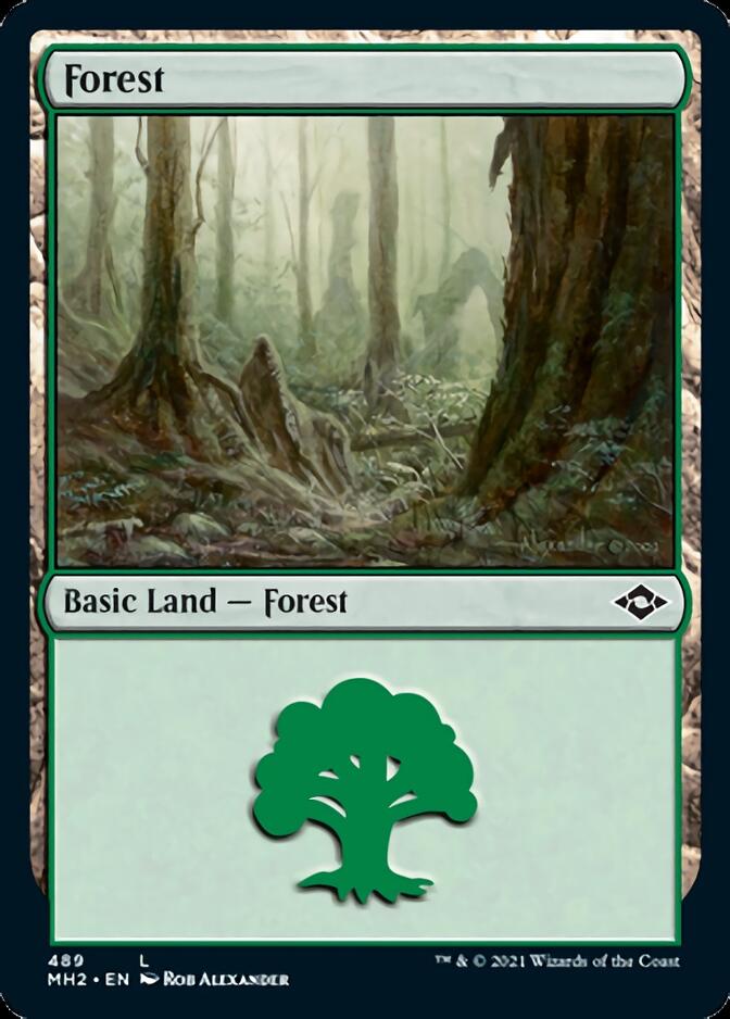 Forest (489) (Foil Etched) [Modern Horizons 2] | North Valley Games
