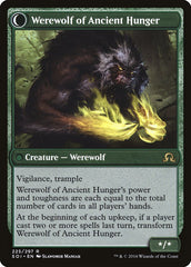 Sage of Ancient Lore // Werewolf of Ancient Hunger [Shadows over Innistrad] | North Valley Games