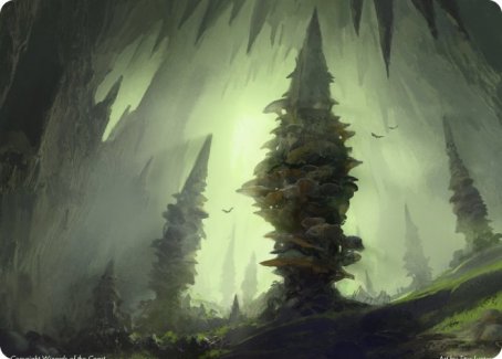Forest (280) Art Card [Dungeons & Dragons: Adventures in the Forgotten Realms Art Series] | North Valley Games